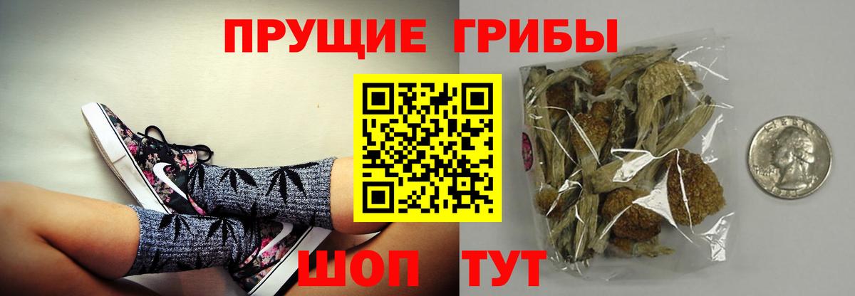 наркошоп  Вход с VPN  Ирбит  Галлюциногенные грибы мицелий 